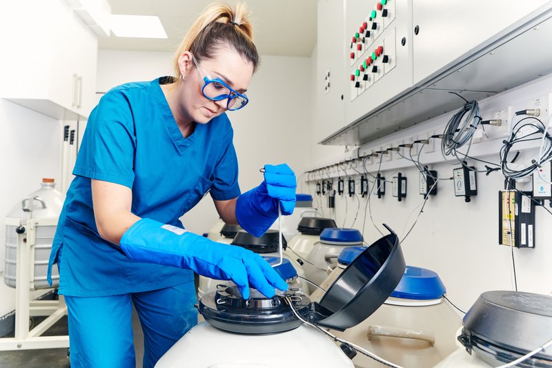 Embryologist examines egg storage in cryopreservation unit